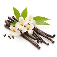 Aromatic vanilla beans with flowers and green leaves, perfect for baking photo