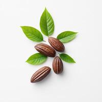 Rich cocoa beans surrounded by vibrant green leaves, showcasing nature beauty and bounty photo