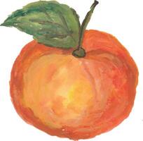 an orange with a leaf on it is shown watercolor vector