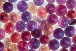 Detailed Illustration of Sickled Blood Cells for Educational and Medical Use photo