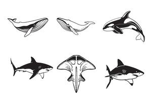 set of whale and sharks isolated. under water wonder of ocean vector