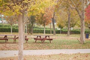 Autumn Park Scene with Empty Picnic Tables and Colorful Foliage photo