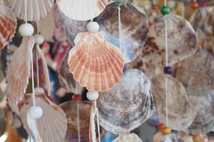A beautiful and colorful seashell wind chime designed as decorative art photo