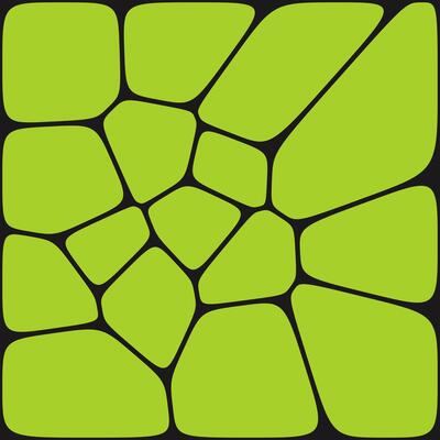 A green abstract pattern featuring irregular polygonal shapes, resembling stained glass or a cellular structure, outlined in black and enclosed in a square frame.