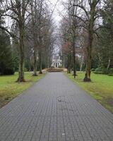Alley in the new cemetary in Greifswald, Mecklenburg-Vorpommern, Germany, leading to central place and chapel photo