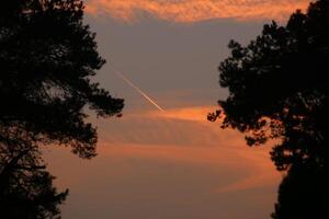 Burning orange sky with contrails behind tree silhouettes. photo
