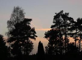 Burning orange sky with contrails behind tree silhouettes photo