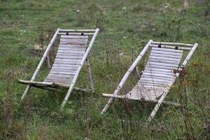 Two deckchairs between grass and herbs in uncultivated land. photo