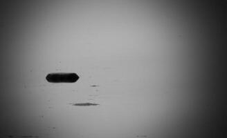 Stone lying in reflecting water with vignetting. photo