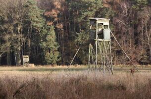 Two high seat in front of autumnal forest in Mecklenburg-Vorpommern, Germany. photo