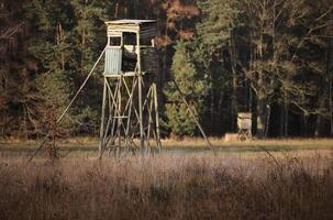 Two high seat in front of autumnal forest in Mecklenburg-Vorpommern, Germany photo