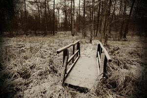 Small wooden bridge near the Kollyteiche on the Huy in Saxony-Anhalt, Germany, rendered in sepia style. photo