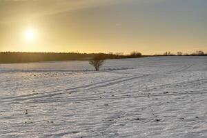 Snowy winter landscape though warmed by the sun The image was taken near Greifswald, Mecklenburg-Vorpommern, Germany, using a HDR imaging technique photo
