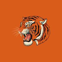 A stylized illustration depicts a roaring tigers head against a burnt orange background. vector