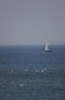View over the Baltic Sea with swans and sailing ships. photo