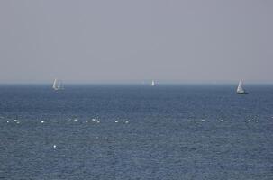 View over the Baltic Sea with swans and sailing ships photo