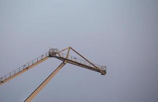 Gray crane in a harbor. photo