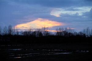 Impressive orange evening cloudscape over bare trees. There is a strong contrast between the sky, the dark landscape, and reflections on puddles. photo