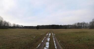 Panoramic view of meadow in winter with dirt path photo