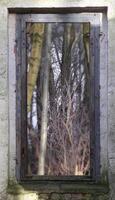Look through a window of a ruined house in the forest with a creative focus effect. photo