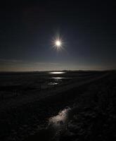 Nature reserve on the Karrendorfer Wiesen near Greifswald, Mecklenburg-Vorpommern, Germany, in winter. The image is underexposed to underline the sunlight. photo