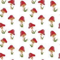 Seamless pattern with amanita fly-agaric mushroom vector