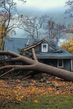 un caído árbol mentiras a través de un casas techo, ilustrando el grave dañar desde intenso clima. esta escena Destacar el retos de tormenta despeje y el necesitar para eficaz desastre respuesta foto