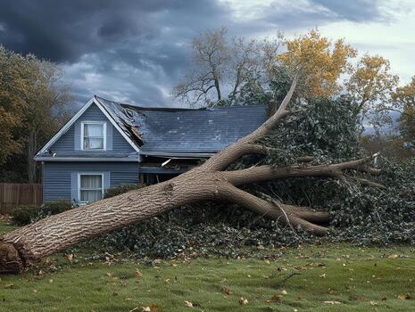 un poderoso y destructivo tormenta causado un pesado árbol a choque abajo con fuerza sobre un casa, cuales Destacar el grave y perjudicial impactos de repentino y a menudo inesperado relacionado con el clima eventos foto