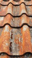 Rusty terracotta roof tiles showing weathered texture and color patterns photo
