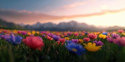 Vibrant wildflowers bloom in a serene meadow at sunset near mountains photo