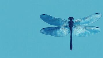 Dragonfly resting with open wings against a vibrant blue background in natural light photo