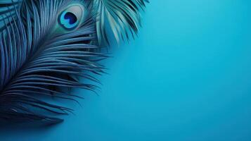 Vibrant blue background featuring artistic peacock feathers with rich texture and natural elegance photo