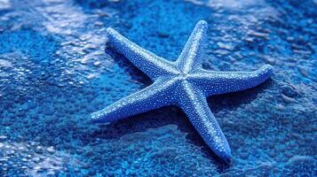 Bright blue starfish resting on coral reef with shimmering ocean water in the background under sunlight photo