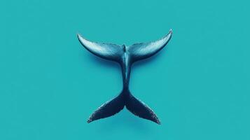 Whale tail gracefully emerging from the ocean depths in bright turquoise water during a sunny day photo