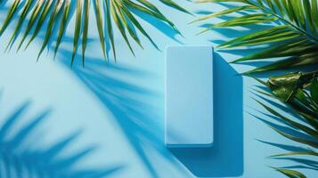 Bright blue background with palm leaves creating shadows around a rectangular object during daylight photo