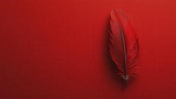 Bright red feather resting against a vivid red background creates a striking monochromatic display photo