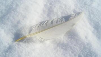 Soft white feather resting on pristine snow under bright daylight in a serene winter landscape photo