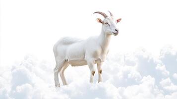 Goat standing on fluffy clouds against a bright white background in a serene and peaceful atmosphere photo