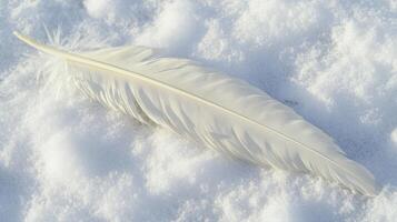 Feather rests gently on a blanket of snow under soft winter light photo