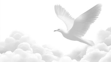 blanco pájaro altísimo graciosamente mediante mullido nubes debajo brillante cielo foto