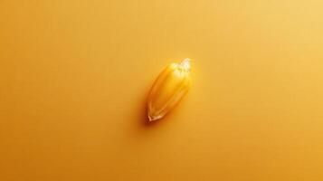 Close-up capture of a single corn kernel resting on a yellow background showcasing natural beauty and texture photo