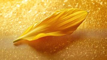 Bright yellow flower petal resting on a textured surface illuminated by warm sunlight photo