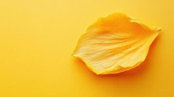 Yellow flower petal on vibrant yellow background creating a harmonious and uplifting composition photo