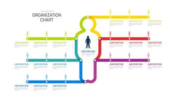 organization chart Infographic man line template for with business avatar icons. illustration. vector