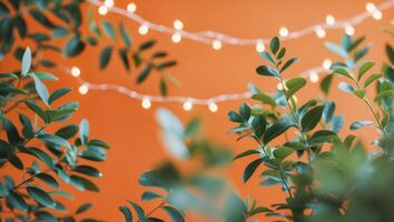 Orange Background with Lights and GreeneryOrange Background with Lights and Greenery. photo