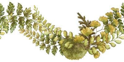 Fern leaves curved seamless border in the earth green tone. Hand drawn watercolor botanical element with textured foliage. Perfect for the use of ecological material and modern sustainable design. vector