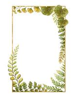 Rectangular vertical frame with fern leaves botanical card template in earth tone. Hand drawn watercolor floral element with thin gold. Perfect for the use of ecological material and designs. vector