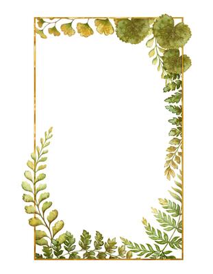 Rectangular vertical frame with fern leaves botanical card template in earth tone. Hand drawn watercolor floral element with thin gold. Perfect for the use of ecological material and designs.