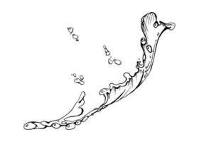 Water flow, splashes bubbles waves, dew drops. Liquid pouring motion, flowing clear wet spray ripples. illustration hand drawn in ink, single object isolated on white. Magazines, blogs, menu vector