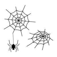 Cobweb and spider. Doodle black line isolated illustration outline graphics. Design element for theme Halloween, magic, insect. vector